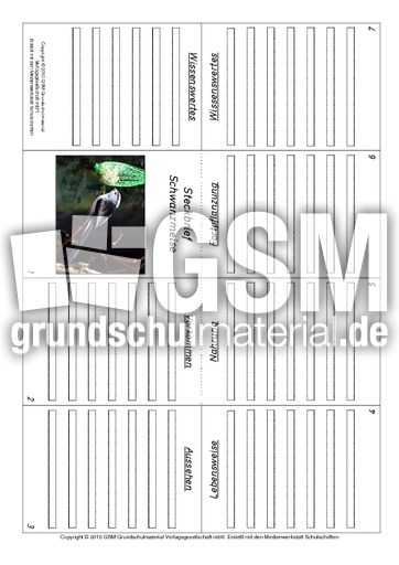 Faltbuch-Schwanzmeise.pdf